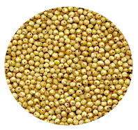 Raw millet grains