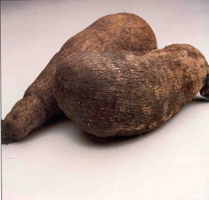 African Food - History - Cooking and eating in early Africa Yams before they're cooked: like a sweet potato but with a thicker, browner skin