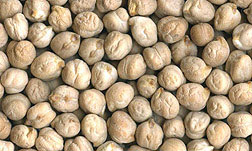 Dried chickpeas - cream-colored little round seeds