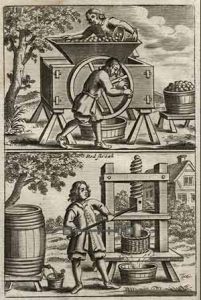 Grinding apples and pressing cider (Vinetum Britannicum; London 1678)