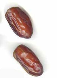 two dates - brown ovals