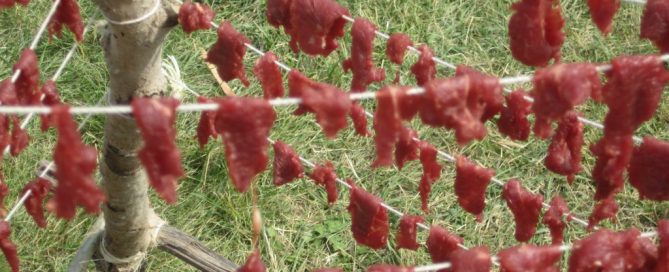 Pemmican meat in small pieces draped over sticks to dry