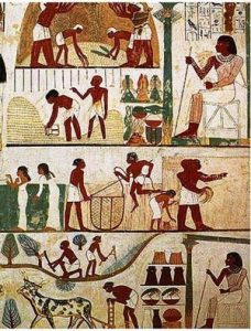 Ancient Egyptian painting of farm workers