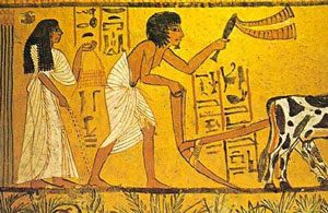 History of farming - the beginning of agriculture Egyptian painting of a man plowing while a woman scatters seeds