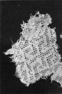 Pueblo cotton cloth (before 1500 AD)