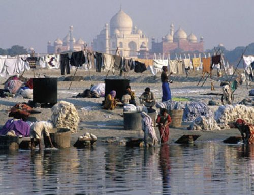 What is cholera? History of disease and medicine